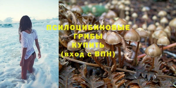 каннабис Приозерск