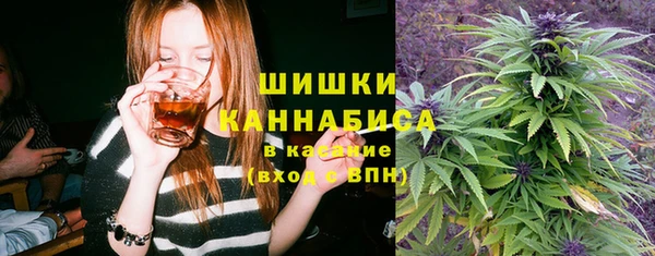 не бодяженный Ельня