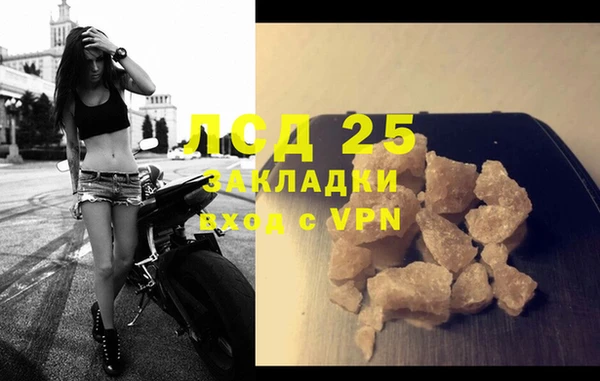 ГАЛЛЮЦИНОГЕННЫЕ ГРИБЫ Елабуга