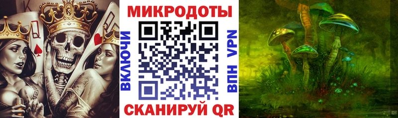 Псилоцибиновые грибы Psilocybe  Каменск-Шахтинский 