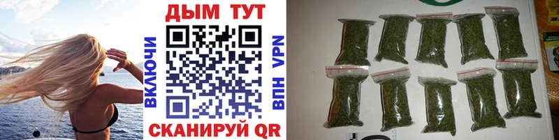 Бошки марихуана THC 21%  Каменск-Шахтинский 